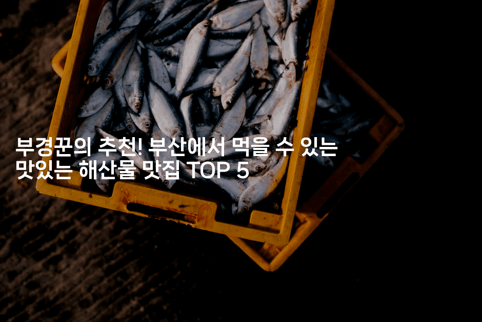 부경꾼의 추천! 부산에서 먹을 수 있는 맛있는 해산물 맛집 TOP 5 -경매따