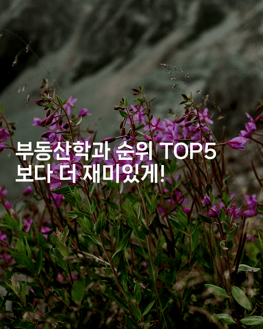 부동산학과 순위 TOP5 보다 더 재미있게!