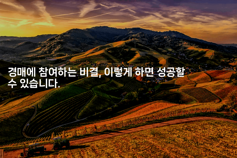 경매에 참여하는 비결, 이렇게 하면 성공할 수 있습니다.