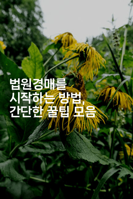 법원경매를 시작하는 방법, 간단한 꿀팁 모음-경매따