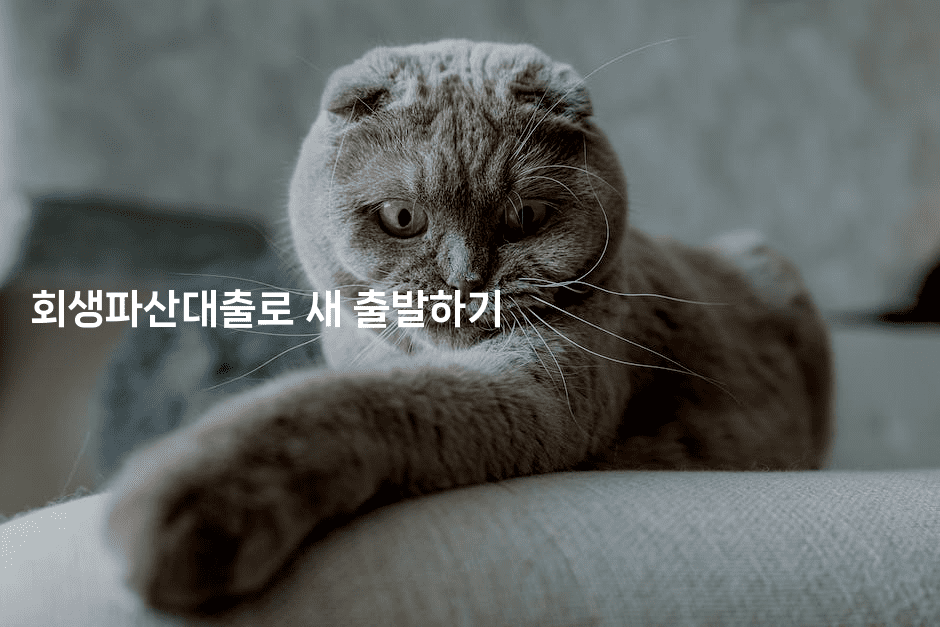 회생파산대출로 새 출발하기