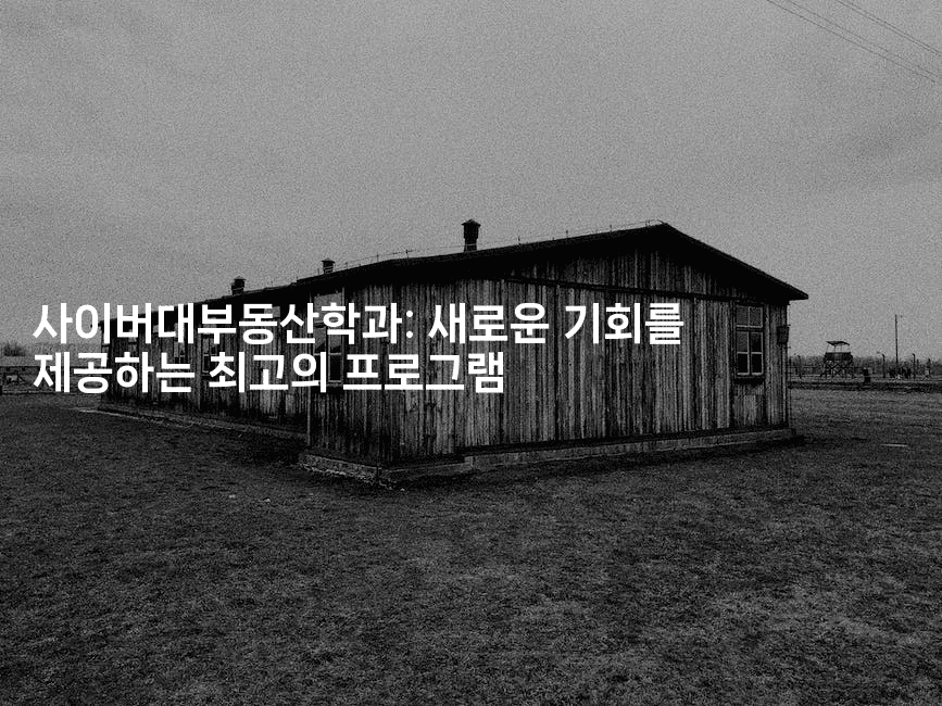 사이버대부동산학과: 새로운 기회를 제공하는 최고의 프로그램2-경매따