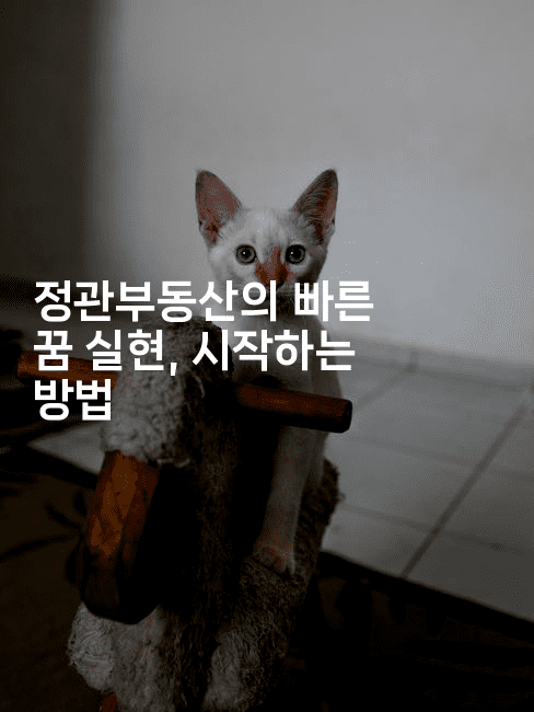 정관부동산의 빠른 꿈 실현, 시작하는 방법2-경매따