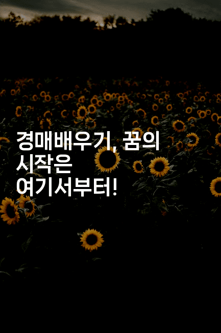 경매배우기, 꿈의 시작은 여기서부터!2-경매따