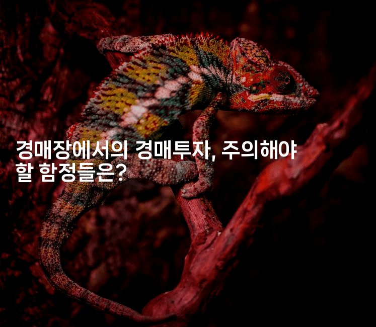 경매장에서의 경매투자, 주의해야 할 함정들은?