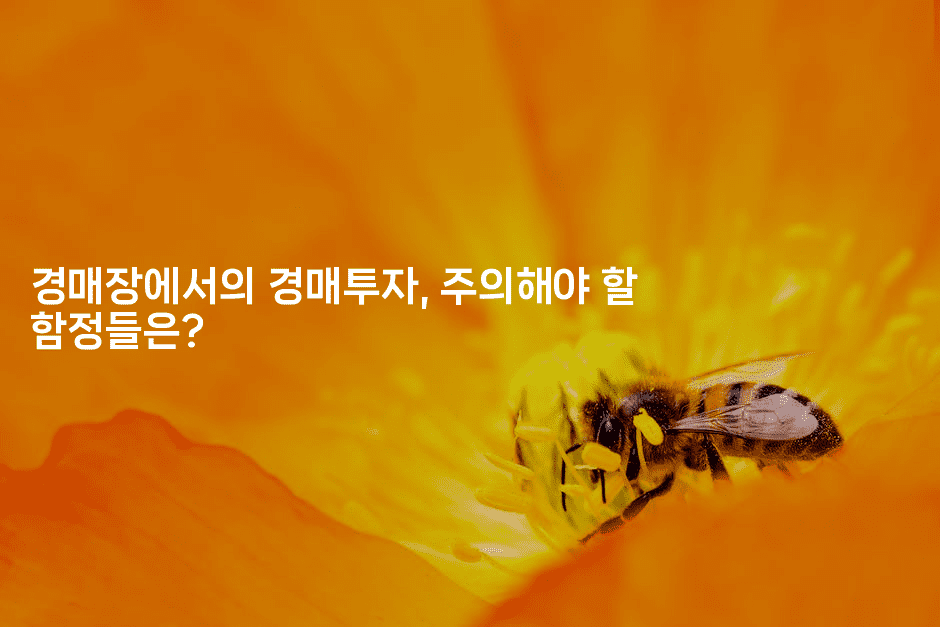 경매장에서의 경매투자, 주의해야 할 함정들은?2-경매따