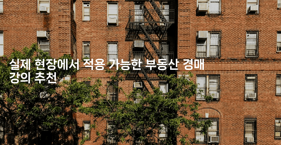 실제 현장에서 적용 가능한 부동산 경매 강의 추천