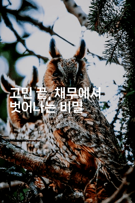 고민 끝, 채무에서 벗어나는 비밀-경매따