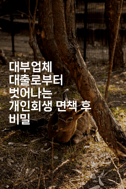 대부업체 대출로부터 벗어나는 개인회생 면책 후 비밀-경매따