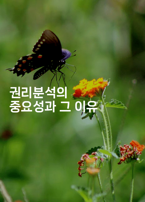 권리분석의 중요성과 그 이유2-경매따