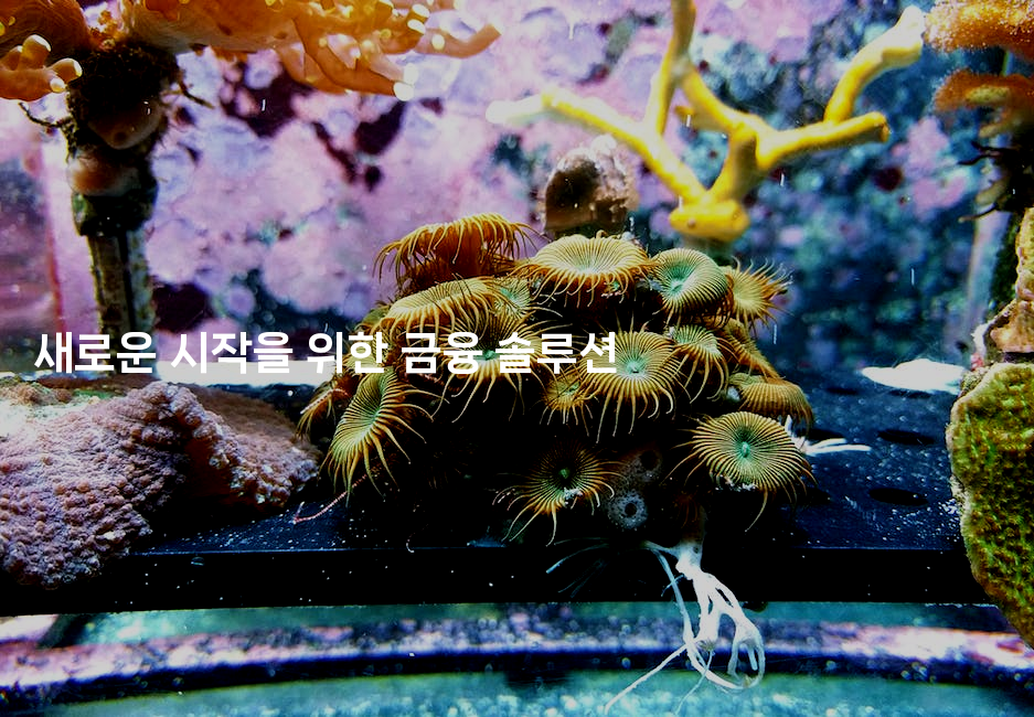 새로운 시작을 위한 금융 솔루션-경매따