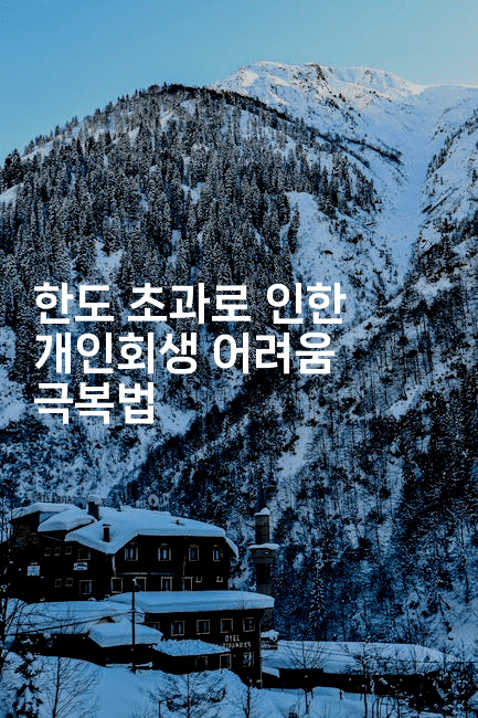 한도 초과로 인한 개인회생 어려움 극복법-경매따