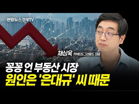 꽁꽁 언 부동산 시장...원인은 '은대규' 씨 (채상욱 커넥티드 그라운드 대표) ㅣ 241024 경제훈풍