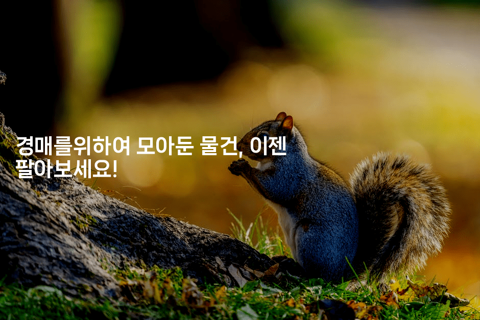 경매를위하여 모아둔 물건, 이젠 팔아보세요!-경매따