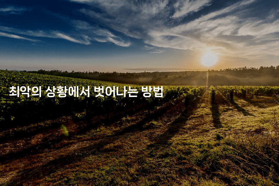 최악의 상황에서 벗어나는 방법-경매따