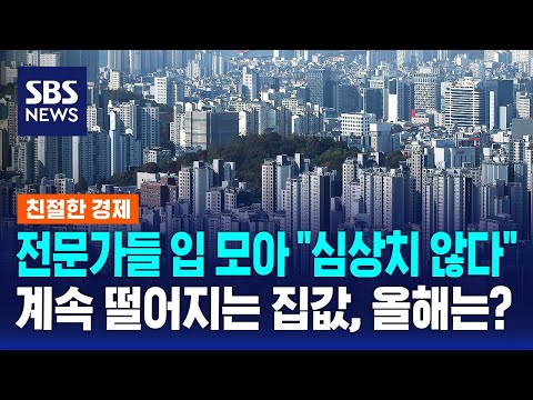 전국 집값 10주째 하락…올해 부동산 시장 전망은 / SBS / 친절한 경제