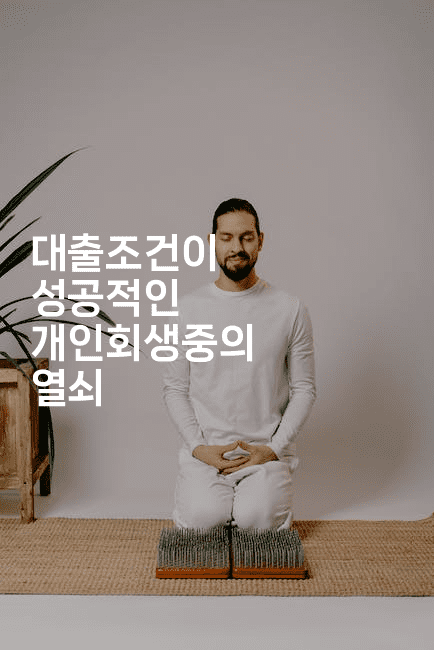 대출조건이 성공적인 개인회생중의 열쇠-경매따