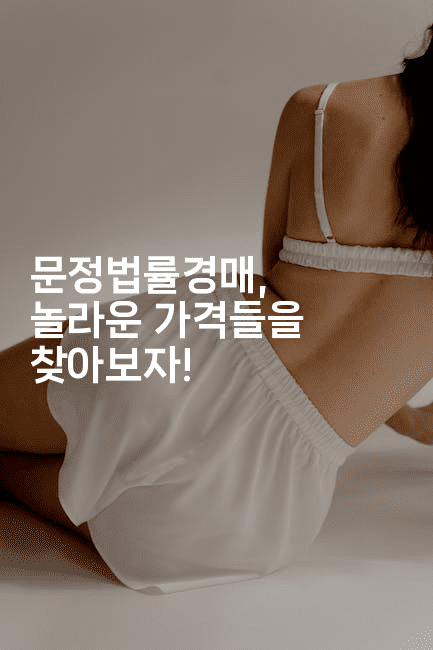 문정법률경매, 놀라운 가격들을 찾아보자!