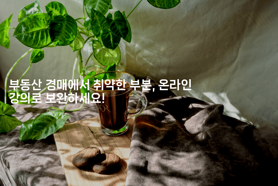 부동산 경매에서 취약한 부분, 온라인 강의로 보완하세요!-경매따