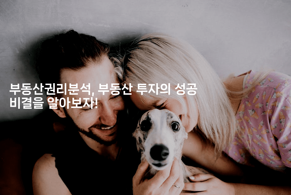 부동산권리분석, 부동산 투자의 성공 비결을 알아보자!2-경매따